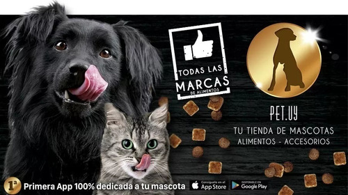 Imagen 2 de 2 de Frost Adulto Lb Raza Grande 17kg + Obsequio + Envio Gratis