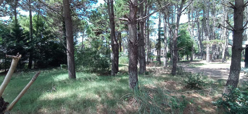 Vendo Excelente Lote En Barrio Álamos Pinamar