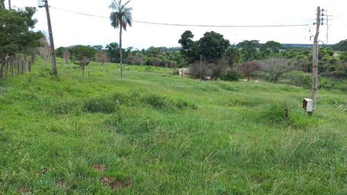 Imagem 8 de 9 de Sitio/chácara De 5 Alqueires Em Nhandeara Todo Em Pasto