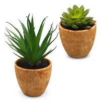 Comprar Cactus Planta Artificial Deco Hogar Maceta Terra Hogar 88007