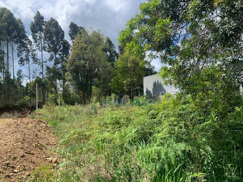 Terreno À Venda, 390 M² Por R$ 308.000,00 - Vivendas Do Arvoredo - Gramado/rs - Te0681
