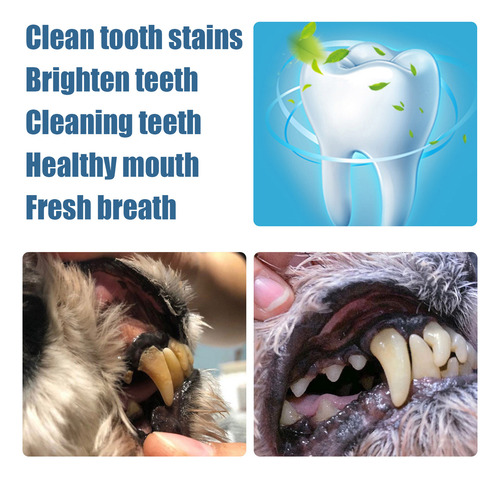 3pc Pet Teeth Repairing Kit,cat/dog Teeth Whitening Syringes