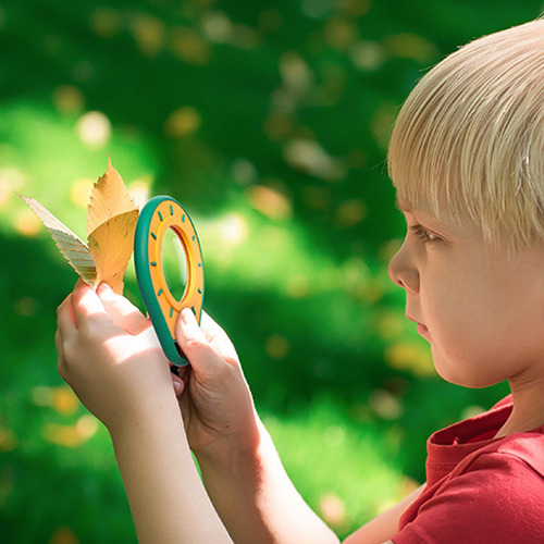 Kit De Observación Para Niños Juguetes De Exploración De La