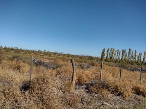 Vendo Finca Ideal Feedlot
