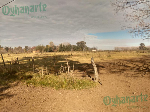 Imagen 14 de 21 de Venta De Campo De 23 Hectáreas En General Rodriguez.