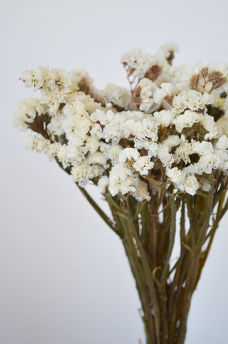 Ramo Flores Secas Estatis Blanco White