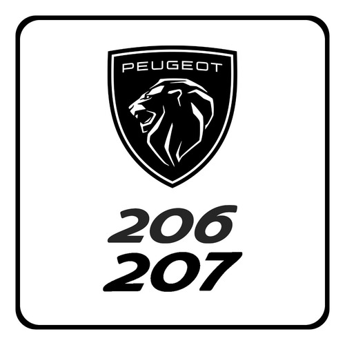 Juego Pico Rociador Sapito Peugeot 206/207 99/