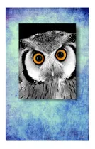 Comprar Afiches Decorativos Fauna Laminas Vinyl Autoadhesivo 60x40cm