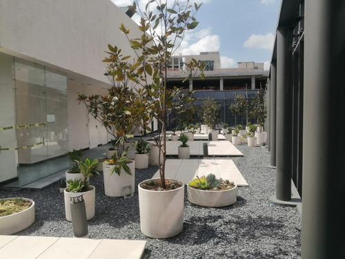 Imagen 6 de 15 de Oficinas En Venta En Rio San Joaquín, Ampliación Granada