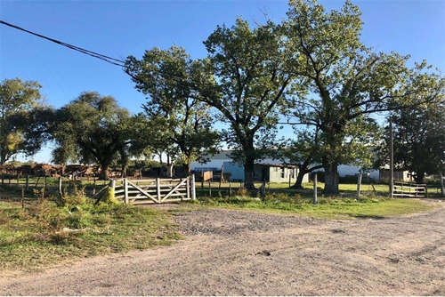 Imagen 4 de 13 de Venta Terreno