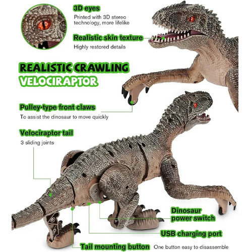 Brinquedo De Dinossauro Com Controle Remoto Jurassic Velocir