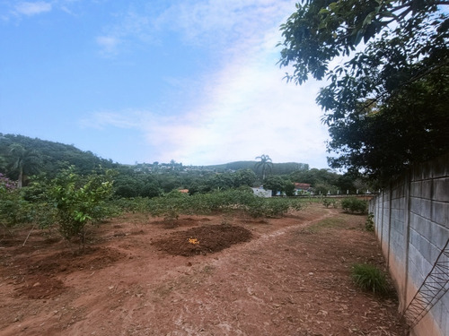 Sítio Completo À Venda Em Santa Isabel/sp 7.500m2 R$950.000