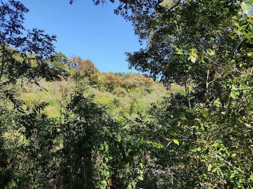 Imagen 7 de 12 de Terreno En Venta Los Pinares El Tuito