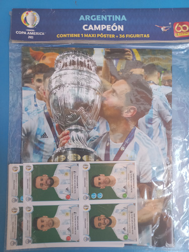 Poster Argentina Campeon