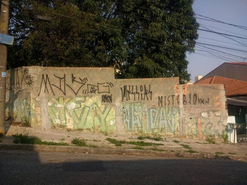 Terreno Residencial À Venda, Parque Das Nações, Santo André. - Te0816