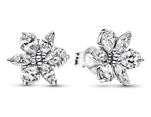  Aretes Racimo Herbario Pandora Plata Outlet Pendientes 