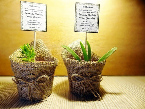 Recuerdos Cactus Encintados Plantas Para Matrimonios Regalos (Usado)