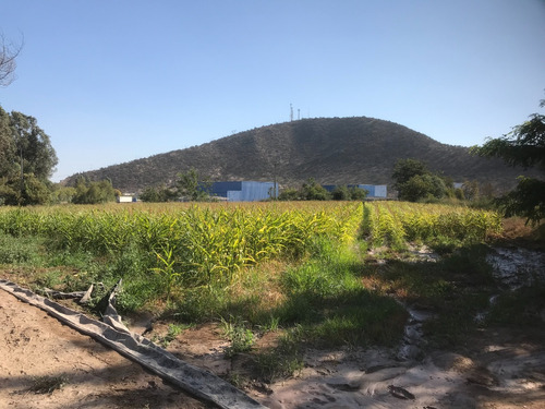 (tin)terreno Agroindustrial, Los Naranjos San Bernardo