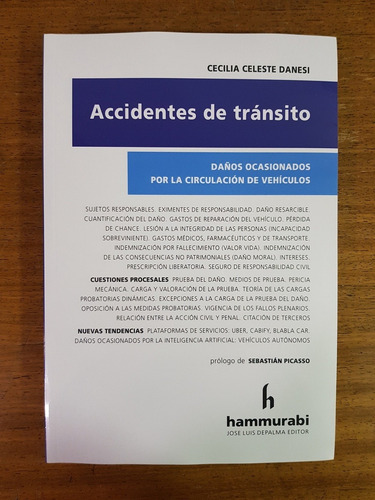 Accidentes De Transito - Danesi, Cecilia C