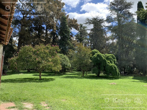 Campo Mixto En Venta De 228 Has Sobre Ruta 29 -en Brandsen