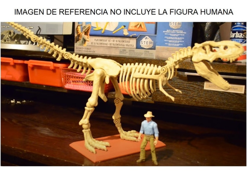 T Rex Kit Paleontologia Jurassic World Tiranosaurio Pregunta