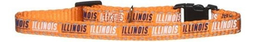 Collar Gato Ncaa Illinois Illini, 3/8 X 8-12 