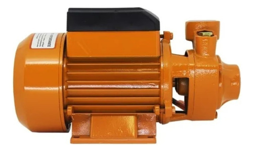 Foxlux 64.04 bomba de agua laranja 60 Hz 220V