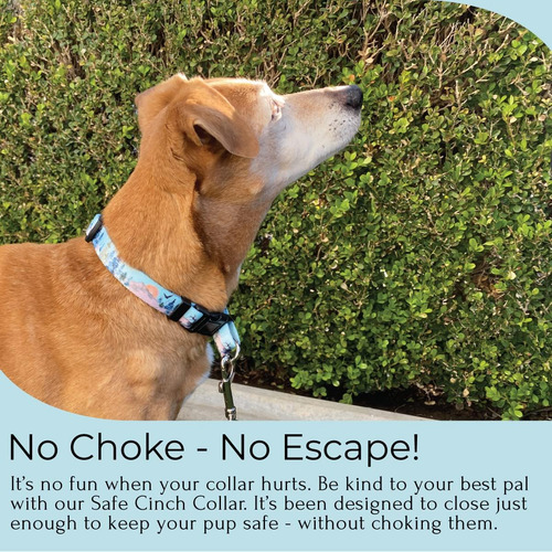 Pet - Collar De Perro Seguro A Prueba De Escapes, The Safest