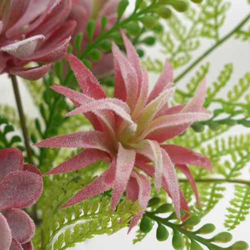 Plantas Suculentas Artificiales Sin Macetas, Pequeñas