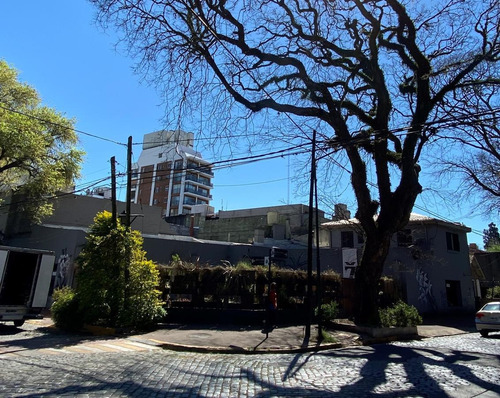 Local - San Isidro