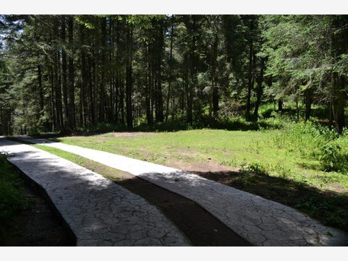 Imagen 4 de 12 de Terreno En Venta Mineral Del Monte Centro