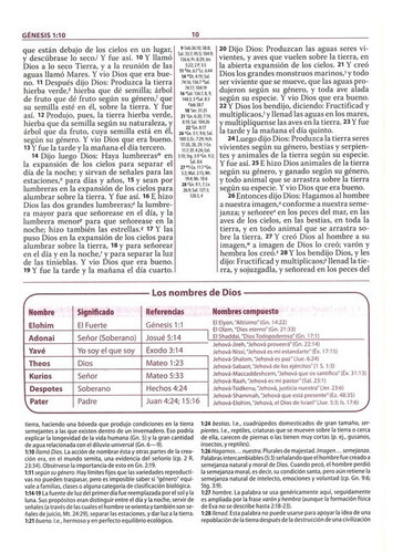 Imagen 8 de 9 de Biblia De Estudio Ryrie Dos Tonos Color Negro Tf