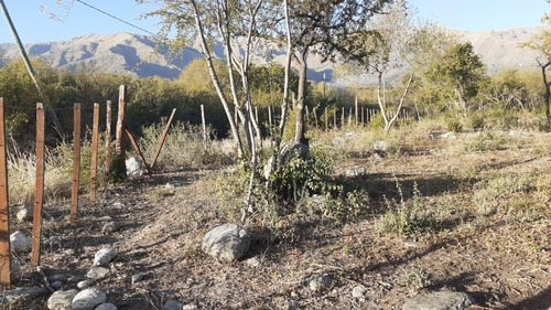 Imagen 1 de 5 de Lotes En Venta A Una Cuadra De Avenida Del Sol, Merlo.
