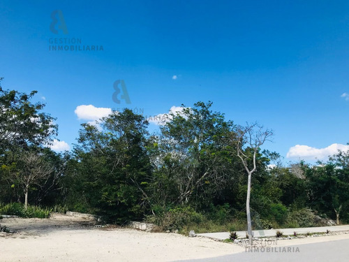 Imagen 6 de 9 de En Venta Terreno En Privada Dzidzil-ha. Ctv83.