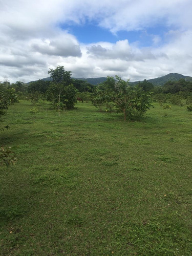 Te Vendo Excelente Solar En La República De Colombia