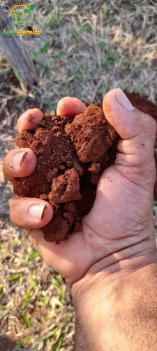 Imagem 5 de 7 de Fazenda À Venda Em Camapuã -ms - 360 Hectares (agricultura) - 2074