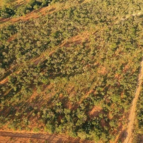Imagem 2 de 9 de Chácaras Na Serra Do Cipó