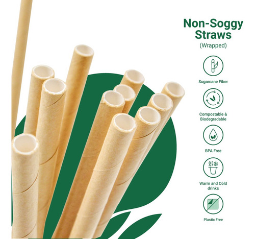 100 Popotes Desechables Con Envoltura - 100% Biodegradables