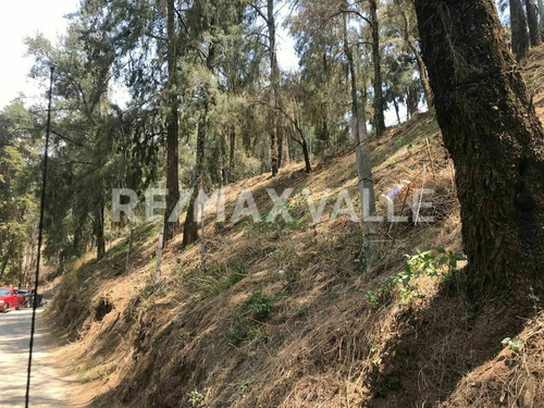 Imagen 7 de 8 de Terreno En Venta.