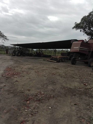 Imagen 2 de 4 de Finca En Venta En Mun. Rojas Barinas