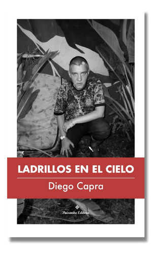 Ladrillos En El Cielo De Diego Capra Paisanita Editora 2024