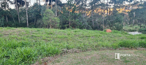 Imagem 4 de 30 de Terreno À Venda, 502 M² Por R$ 553.000,00 - Moinho Velho - Cotia/sp - Te0134