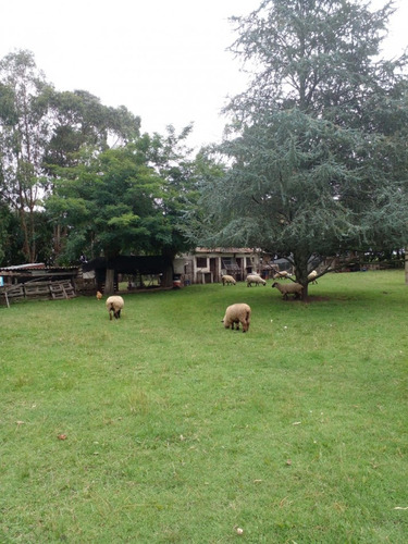 Alquiler De Campo De 4 Hectareas En El Boqueron, Apto Para Cria De Animales