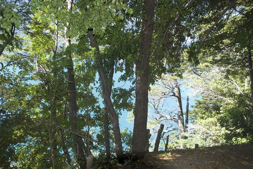 Imagen 10 de 30 de Agrícola En Venta En Puerto Montt
