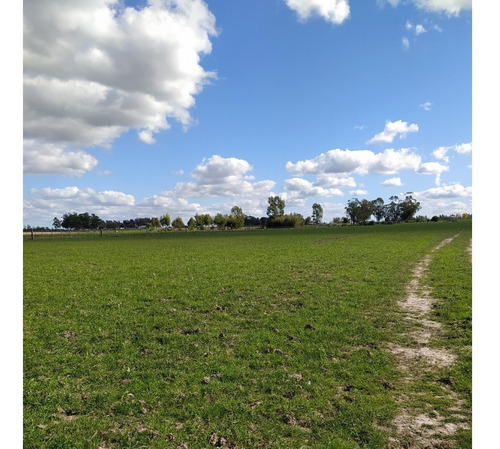 Vendo Muy Lindo Campo Sobre Ruta 33 Casa Todo Alambrado En 4 Potreros, Aguadas