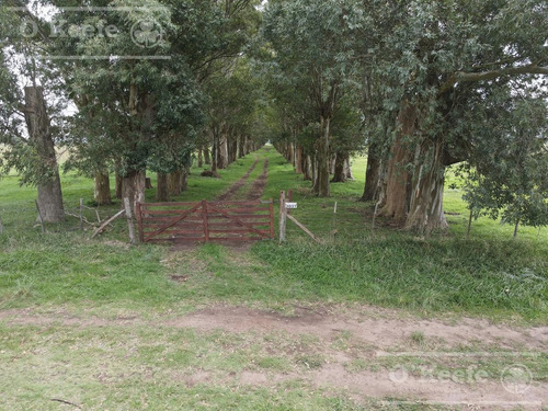 Imagen 3 de 25 de Campo Mixto De 75 Has - Buen Acceso A 3 Km De Ruta 215 - A 1 Hs De Caba