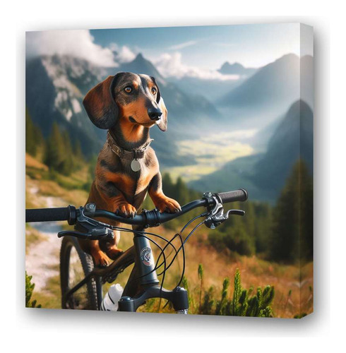 Cuadro 60x60cm Perro Salchicha En Bici Mtb Montaña