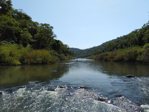 Imagen 4 de 7 de Lotes En Medio De La Selva Misionera
