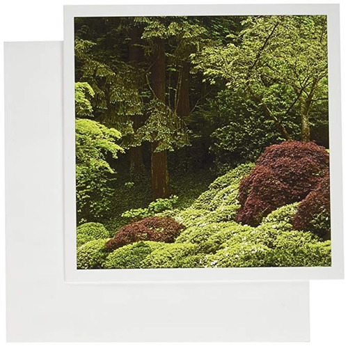 3drose Jardín Japonés De Portland, Primavera, Oregon, Estado