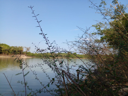 Fazenda Paraiso Dos Pescadores 47,600ha Rio Do Peixe C/ Rio Araguaia - Viuva - Nova Crixas - Go